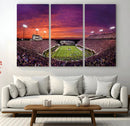 East Carolina University Pirates Football Print Canvas-