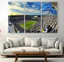 Framed USF Bulls Football Team Print - Tampa Raymond James by MyGreatCanvas | Canvas Wall Art Prints | Photo Prints & Wall Decor