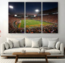 Clemson University Tigers Art Print, Football Team Print -