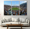 Michigan State Spartans Football Team Art Print - East