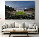 Michigan State Spartans Football Team Print - East Lansing