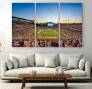 University of Minnesota Golden Gophers Art Print, Football by MyGreatCanvas | Canvas Wall Art Prints | Photo Prints & Wall Decor