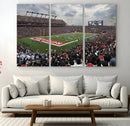 Rutgers Scarlet Knights Football Team Print - SHI Stadium,