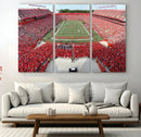 Rutgers Scarlet Knights Football Team Print - Piscataway SHI by MyGreatCanvas | Canvas Wall Art Prints | Photo Prints & Wall Decor