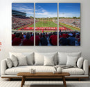 Ball State Cardinals Football Team Print - Muncie Scheumann