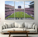 TCU Horned Frogs Football Team Print - Fort Worth Amon G.