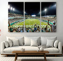 The Tulane University Green Wave Football Team Print - New
