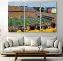 Puskar Stadium Canvas Print Wall Art - Morgantown Print -