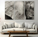 Elephant Wall Art Canvas Print