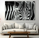 Zebra Wall Art – Zebra Close Up Wall Art – Framed Black by MyGreatCanvas | Canvas Wall Art Prints | Photo Prints & Wall Decor