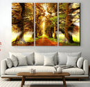 Sunshine in Forest and Trees Wall Art Canvas Print by MyGreatCanvas | Canvas Wall Art Prints | Photo Prints & Wall Decor