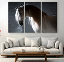 Large Wall Art Cream Colored Horse on Grey Background Canvas