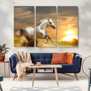 Large Wall Art Galloping White Horse at Sunset Canvas Print