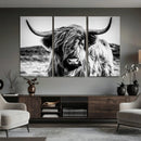 Black and White Scottish Cow Canvas Wall Art Highland Cattle