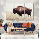 Bison in Field Wall Art Canvas Print For Farmhouse Barn