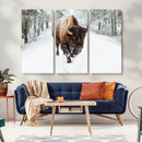 Bison Wall Art Canvas Print For Farmhouse, Animal Canvas