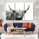 Black White Scottish Highland Cow Cattle Art Print Farmhouse