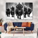 American Bison Art | Buffalo Herd Wall Art Canvas Print, BW
