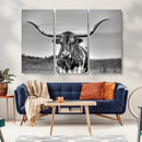 Texas Longhorn Cow Wall Art, Texas Longhorn Canvas, Cattle