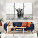 Highland Cow Canvas Wall Art – Majestic Beauty in Black and