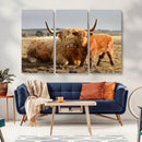 Highland Cow Canvas Wall Art Animal Print for Farm House