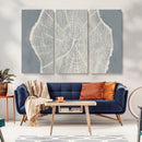 Abstract Tree Ring Wall Art Canvas Print – Nature-Inspired,