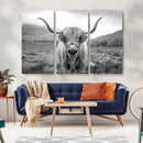 Black White Scottish Highland Cow Canvas Farm Wall Art