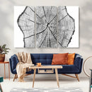 Rustic Tree Ring Wall Art Canvas Print – Framed and Ready to