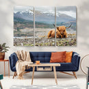 Highland Cow Horn Farm Wall Art Canvas Print