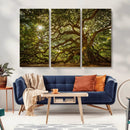 Ancient Angel Oak Tree Art Sunburst Canvas Print-