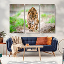 Leopard on the Prowl - Stunning Large Framed Leopard Wall