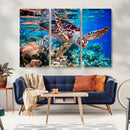 Underwater Coral Reef Sea Turtle Wall Art Canvas Print,