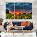 Golden Sunflower Field at Sunset – Breathtaking Sky and
