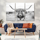 Highland Cow Wall Art Canvas Print – Black and White Western