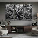 Black and White Old Angel Oak Tree Wall Art Canvas Print