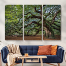Historic Tree Wall Art – Framed Mossy Branch Canvas Artwork, by MyGreatCanvas | Canvas Wall Art Prints | Photo Prints & Wall Decor
