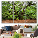 Majestic Oak Tree Wall Art Canvas Print – Ancient Branches by MyGreatCanvas | Canvas Wall Art Prints | Photo Prints & Wall Decor