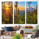 Forest Sunset Wall Art Canvas Print, Glowing Evening Light by MyGreatCanvas | Canvas Wall Art Prints | Photo Prints & Wall Decor