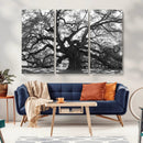 Ancient Oak Wall Art Canvas Print – Gnarled Tree Twisted by MyGreatCanvas | Canvas Wall Art Prints | Photo Prints & Wall Decor