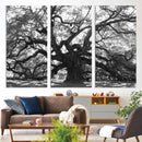 Ancient Oak Wall Art Canvas Print, Majestic Twisted Branches by MyGreatCanvas | Canvas Wall Art Prints | Photo Prints & Wall Decor