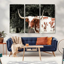 Texas Longhorn Wall Art Canvas Print – Framed Spotted Bull