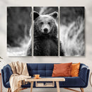 Grizzly Bear Wall Art Canvas Print – Framed Black White