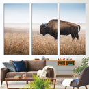 Wild Bison Wall Art – Framed Prairie Landscape Canvas by MyGreatCanvas | Canvas Wall Art Prints | Photo Prints & Wall Decor