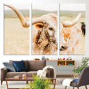 Texas Longhorn Wall Art Canvas Print – Framed Speckled Cow