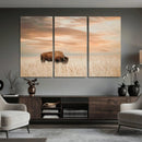 MyCanvas -