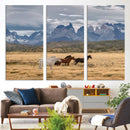 Grand Teton Park Wild Horses Wall Art Canvas Print – Framed