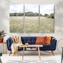 Charming Daisy Field Wall Art Canvas Print – Framed Pastel