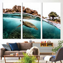 Sea Turtle Wall Art Canvas Print – Framed Ocean Life