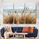Beach Grass Wall Art – Framed Coastal Dunes Canvas Artwork, by MyGreatCanvas | Canvas Wall Art Prints | Photo Prints & Wall Decor