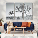 Joshua Trees Wall Art Canvas Print – Framed Black White